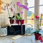 Apartment Alpine
