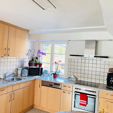 Apartment Alpine Kandersteg