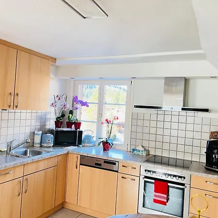 Alpine Apartment Kandersteg