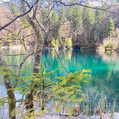 Alpine Apartment Kandersteg