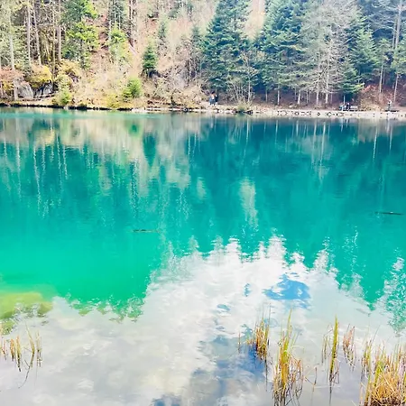 Alpine Apartment Kandersteg