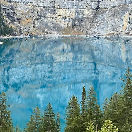 Alpine Daire *