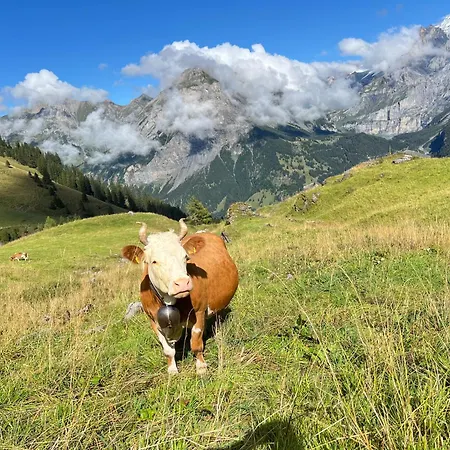 Alpine