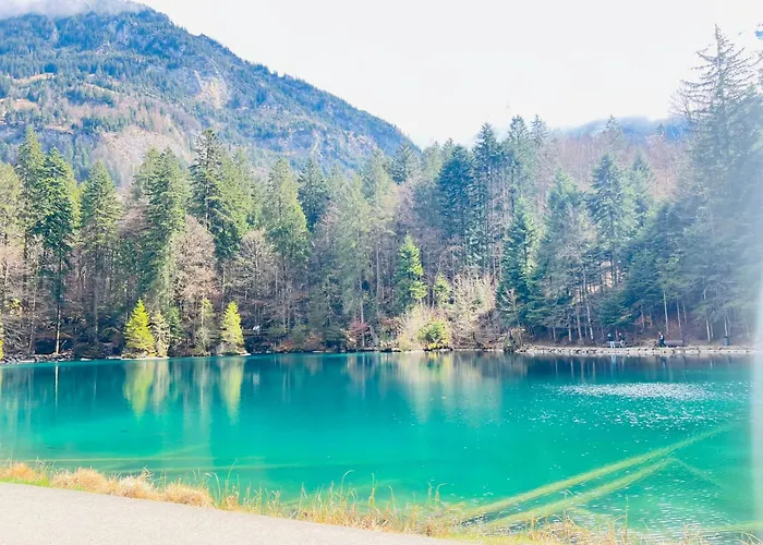 Appartement Alpine Kandersteg