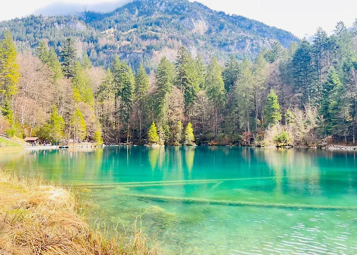 Alpine * קנדרסטג