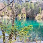 Alpine Διαμέρισμα Kandersteg